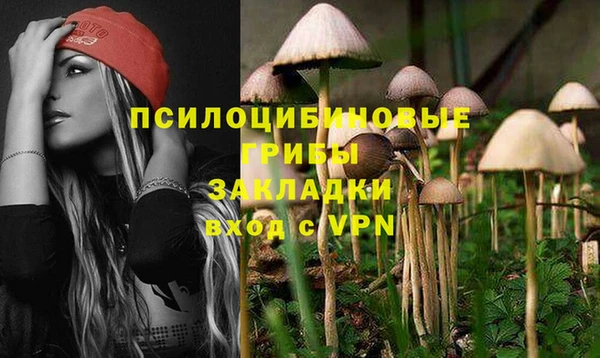 наркотики Алексин