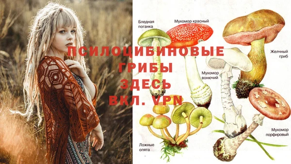 скорость mdpv Алексеевка